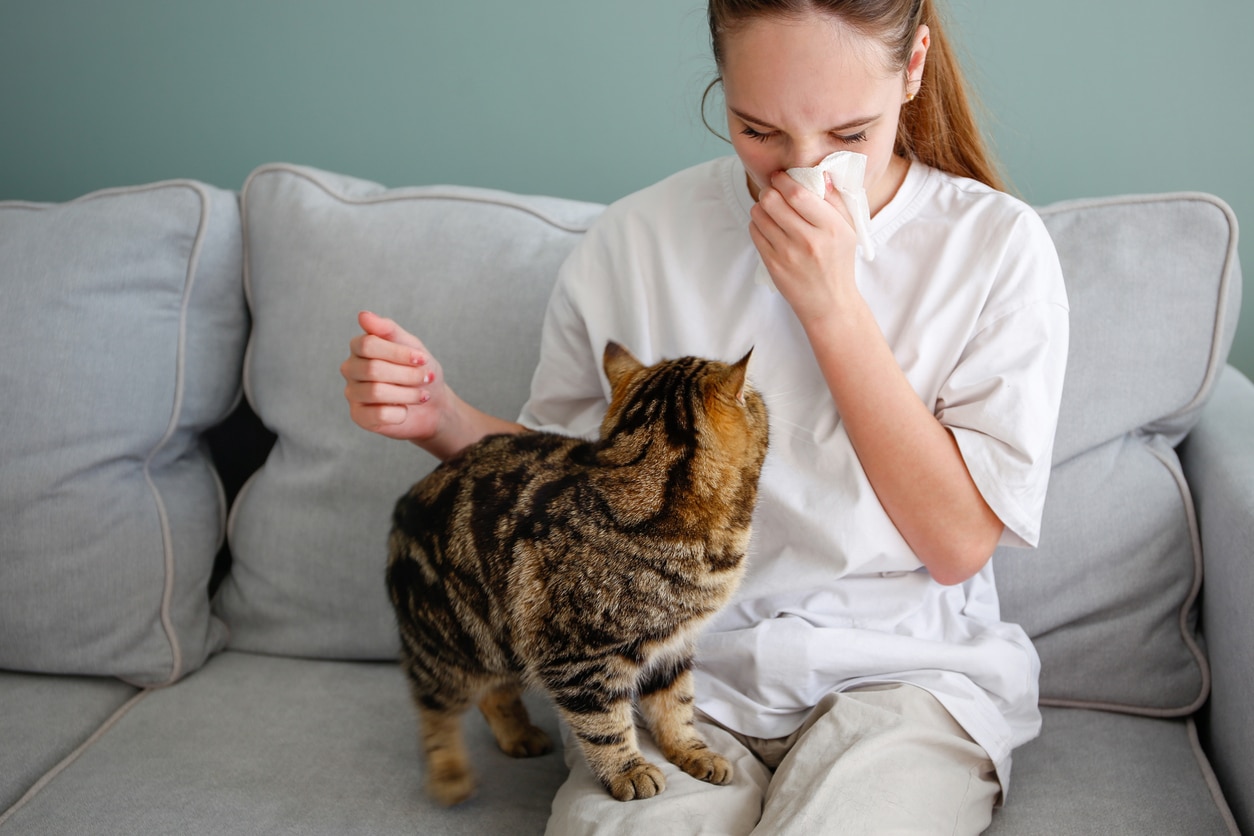 The teenager is allergic to a cat.