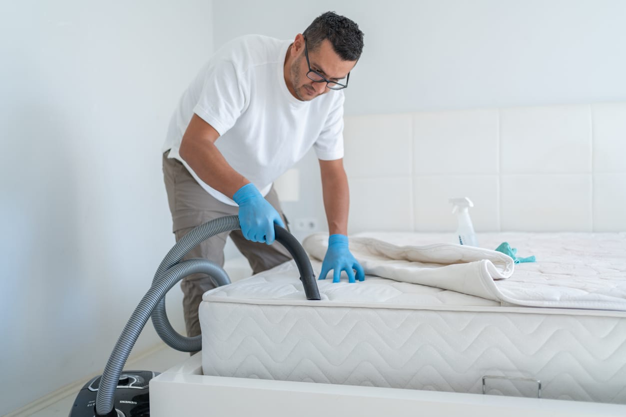 Man Cleaning Bed From Dirt And Bacteria